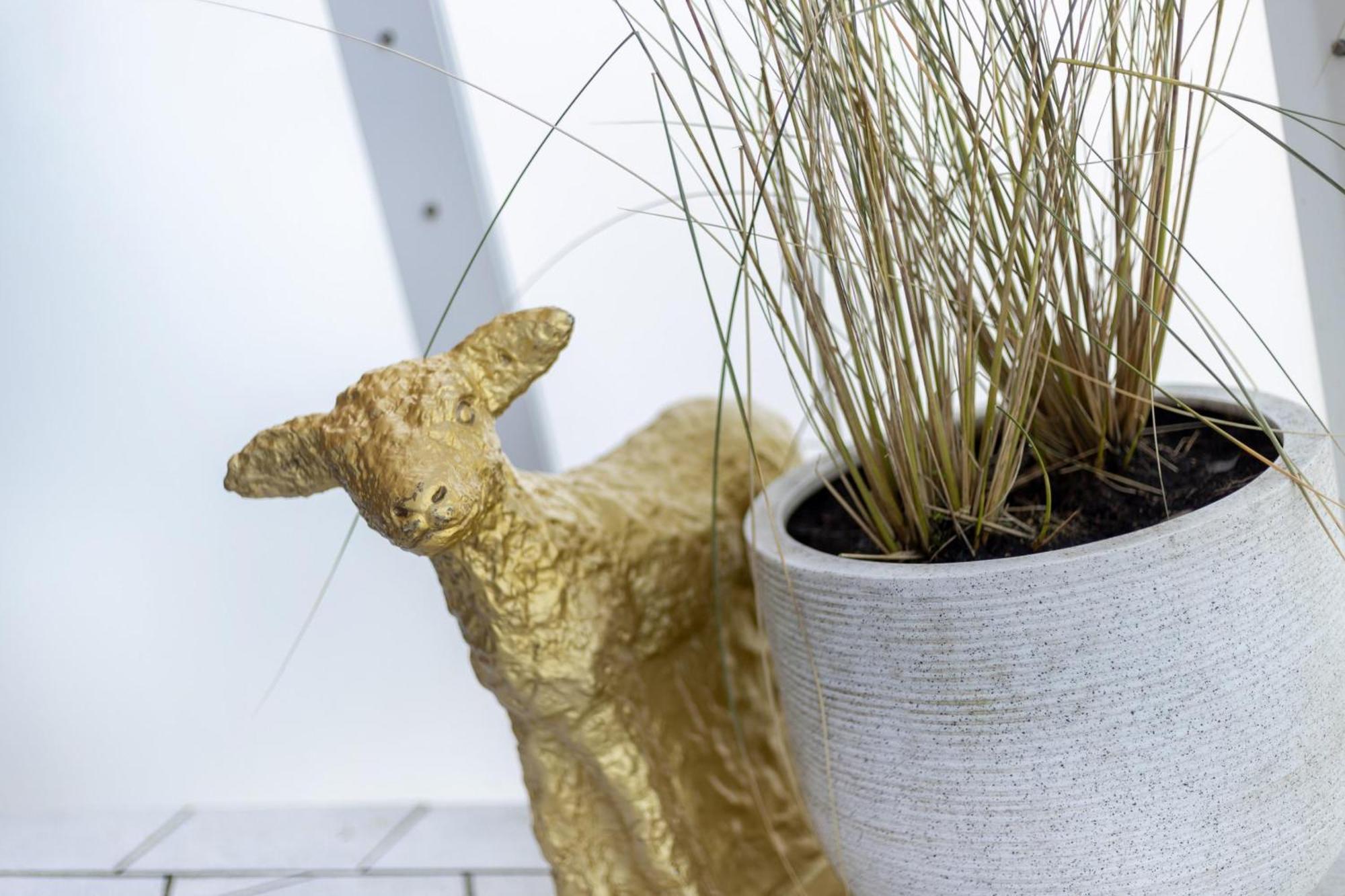 Neu! Ferienwohnung Sunset Loft Wohlfuehlatmospaehre Mit Weitblick In Westerland Sylt エクステリア 写真
